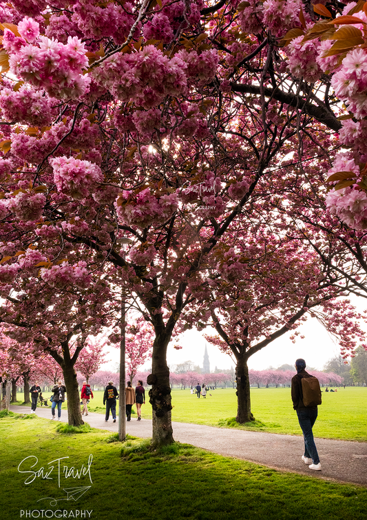 Spring in Edinburgh