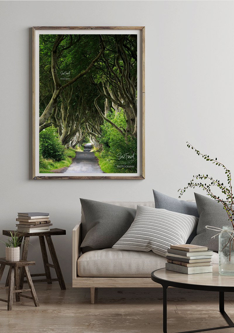 The Dark Hedges
