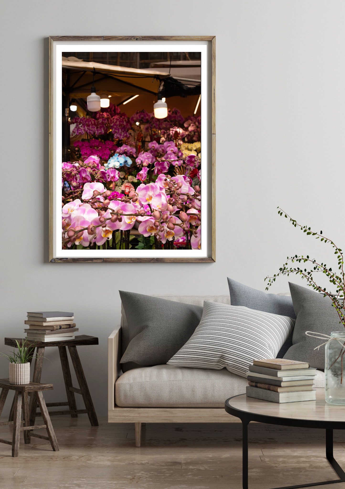 Orchid flowers at Mongkok Flower Market, Hong Kong