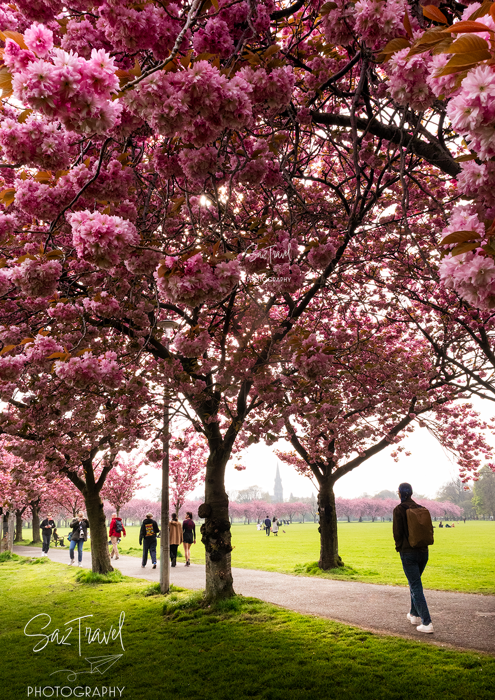 Spring in Edinburgh
